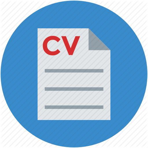 cv-icon-11